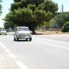 Montevago 2010 (444)